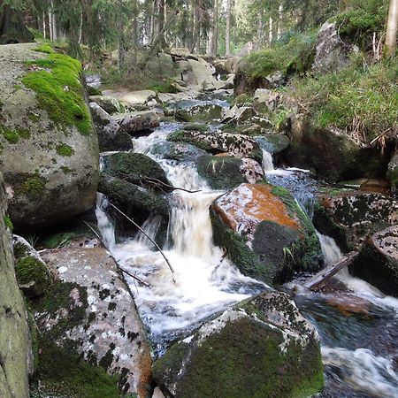 Blockhaus Bodefall Braunlage Kültér fotó