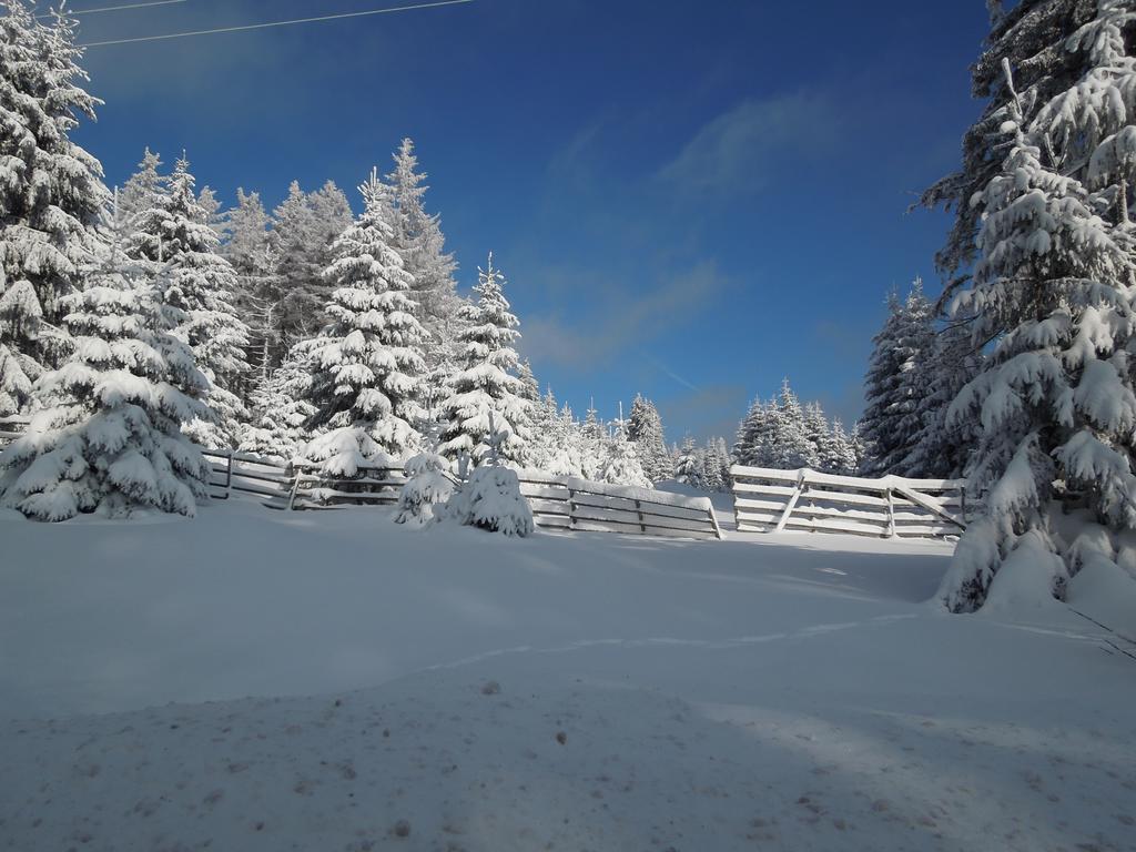 Blockhaus Bodefall Braunlage Szoba fotó