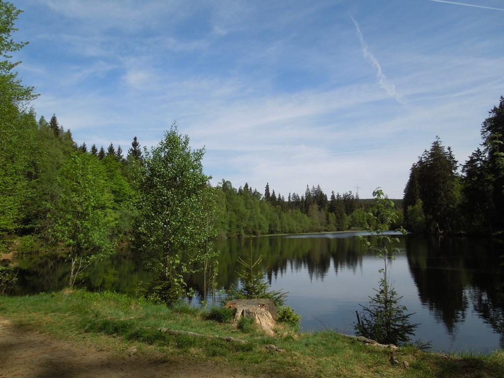 Blockhaus Bodefall Braunlage Kültér fotó