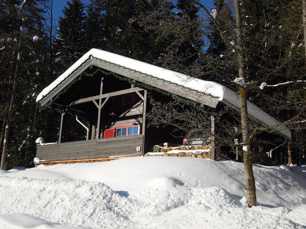 Blockhaus Bodefall Braunlage Kültér fotó