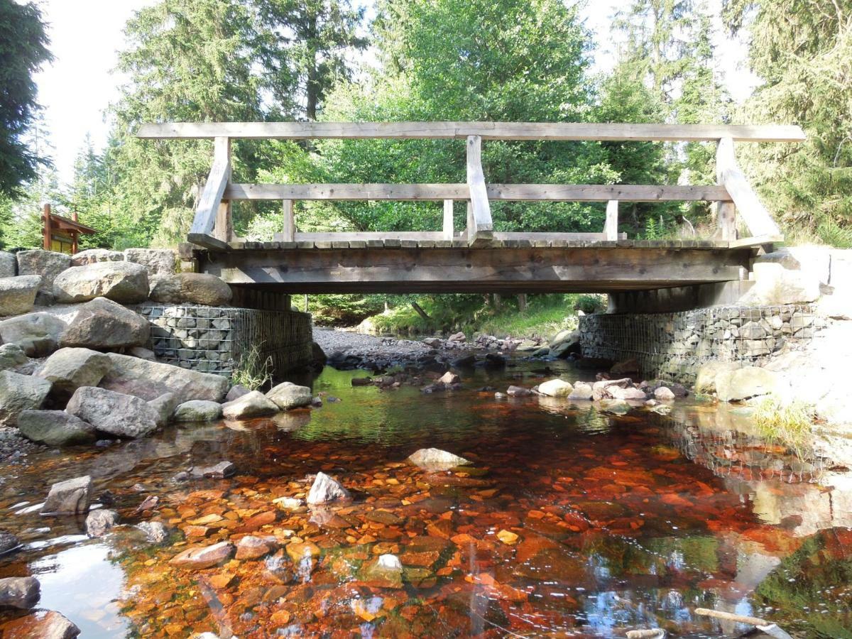 Blockhaus Bodefall Braunlage Kültér fotó